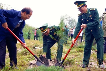 Cán bộ, chiến sĩ Bộ đội Biên phòng và đoàn viên thanh niên tiến hành trồng cây tại bờ biển xã Vinh Thanh, huyện Phú Vang.
