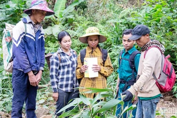 Tổ bảo vệ rừng thôn Hồ, xã Hướng Sơn, huyện Hướng Hóa, là một trong những nhóm hộ được hưởng lợi từ dự án để góp phần phát triển bền vững.