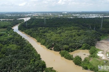 Người thuê đất, thuê mặt nước trên địa bàn Thành phố Hồ Chí Minh bị ảnh hưởng dịch Covid-19 được giảm tiền thuê đất, thuê mặt nước trong năm 2022. (Ảnh: Thế Anh)