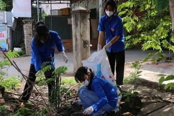 Đoàn viên, thanh niên tham gia dọn dẹp môi trường, phòng, chống dịch bệnh. 