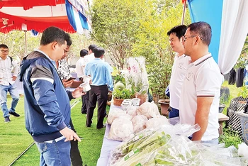Giới thiệu các sản phẩm nông nghiệp ứng dụng công nghệ cao của Thành phố Hồ Chí Minh.