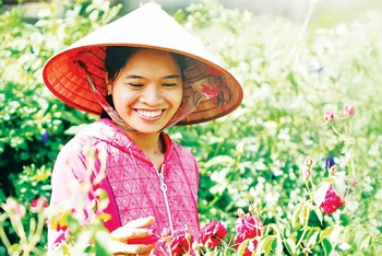 Chị Triệu Thị Loan trong vườn nguyên liệu hoa hồng của The Seed Garden.