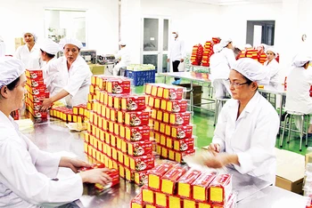 Đóng gói trà tại Nhà máy sản xuất trà của Ladophar tại Khu công nghiệp Phú Hội.