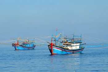 Tàu cá Bình Thuận tuân thủ các quy định khi đánh bắt hải sản tại vùng biển Phú Quý. 