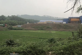 Nhiều công trình xây dựng sai phép của Công ty Huarong.
