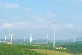 Lượng trái phiếu bền vững tại các nền kinh tế ASEAN+3 đạt 798,7 tỷ USD vào cuối năm 2023 và chiếm khoảng 20% tổng lượng trái phiếu bền vững toàn cầu. (Ảnh minh họa: Cánh đồng điện gió tại huyện Hướng Hóa, Quảng Trị)