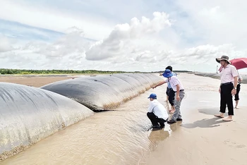 Công trình kè mềm chống sạt lở bờ biển tại huyện Thạnh Phú, tỉnh Bến Tre.