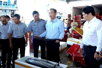 Đoàn công tác Bộ Nông nghiệp và Phát triển nông thôn kiểm tra chống khai thác IUU tại cảng cá Tịnh Hòa, Quảng Ngãi.