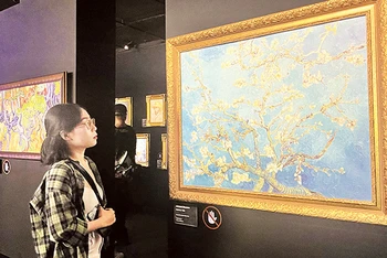 Du khách tham quan Triển lãm tương tác đa giác quan Van Gogh tại Thành phố Hồ Chí Minh.