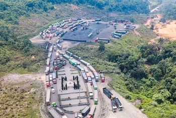Nhiều phương tiện chuyên chở than đá từ Lào đợi làm thủ tục nhập cảnh qua cửa khẩu quốc tế La Lay.