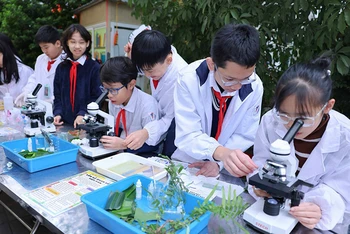 Học sinh Trường THCS Ngô Sĩ Liên (quận Hoàn Kiếm, Hà Nội) trong ngày hội STEM 2024.