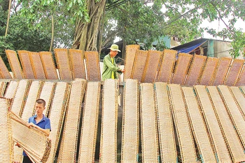 Phơi bánh tại làng nghề sản xuất bánh đa nem Thổ Hà, xã Vân Hà, huyện Việt Yên.