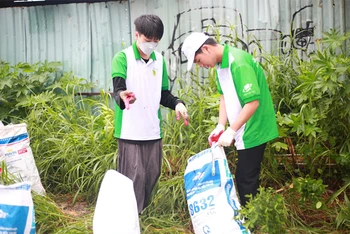 Sinh viên Trường đại học Mở Thành phố Hồ Chí Minh tham gia các hoạt động bảo vệ môi trường. 