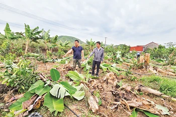 Cán bộ xã Tân Quang (huyện Lục Ngạn) trao đổi với hộ anh Trần Bá Điệp (bên trái) phương án khắc phục hậu quả bão số 3.