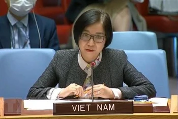 Bà Nguyễn Phương Trà, Phó Trưởng Phái đoàn thường trực Việt Nam tại Liên hợp quốc. (Ảnh: TTXVN)