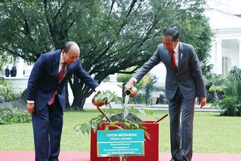 Trong chuyến thăm, Tổng thống Joko Widodo đã mời Chủ tịch nước Nguyễn Xuân Phúc trồng cây sao đen tại Dinh Tổng thống, gửi gắm kỳ vọng cây mau lớn, ngày càng xanh tốt. 