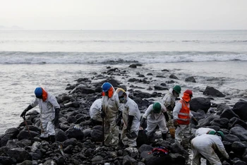 Công nhân dọn dẹp bãi biển gần nhà máy lọc dầu La Pampilla của Repsol sau sự cố tràn dầu gần đây gây ra thảm họa sinh thái trên bờ biển Lima, ở Ventanilla, Peru ngày 29/1/2022. Ảnh chụp bằng drone. REUTERS
