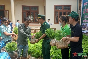 Bộ đội biên phòng Thanh (Bộ đội Biên phòng tỉnh Quảng Trị) tặng cây giống cho người dân. Ảnh: Báo Quân đội nhân dân
