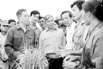 Tổng Bí thư Nguyễn Văn Linh thăm cánh đồng lúa của Hợp tác xã Hải Vân (Hải Hậu, tỉnh Hà Nam Ninh) năm 1988.