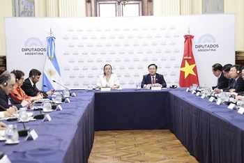 Chủ tịch Quốc hội Vương Đình Huệ hội đàm với Chủ tịch Hạ viện Cộng hòa Argentina Cecilia Moreau. (Ảnh: TTXVN)