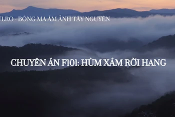 Chuyên án F101: "Hùm xám rời hang"