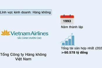 Tổng Công ty Hàng không Việt Nam (VIETNAM AIRLINES)