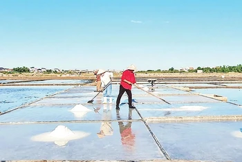 Diêm dân Phú Lộc, xã Quảng Phú, huyện Quảng Trạch (Quảng Bình) cần mẫn sản xuất muối. Ảnh: Hoàng Phương