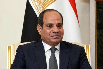 Điện mừng Tổng thống Ai Cập tái đắc cử