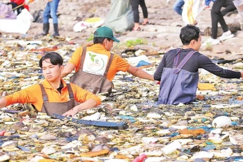 Các tình nguyện viên thu gom rác ở dọc tuyến đê biển Gò Công. Ảnh: NGUYỄN SỰ