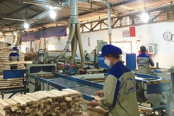 Nhà máy chế biến gỗ ở Nghĩa Đàn (Nghệ An).