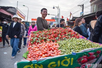 Một sạp hoa quả tươi tại chợ Viềng, Nam Định. Ảnh: NHẬT QUANG
