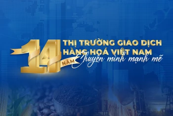 Thị trường giao dịch hàng hóa tại Việt Nam: 14 năm chuyển mình mạnh mẽ