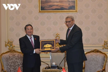 Phó Chủ tịch Quốc hội Nguyễn Đức Hải trao quà lưu niệm của Quốc hội Việt Nam tới Phó Chủ tịch Hạ viện Ai Cập. (Ảnh: vov.vn)