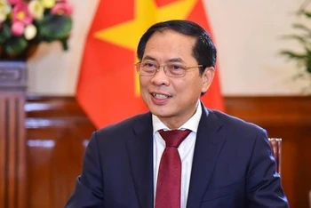 Bộ trưởng Ngoại giao Bùi Thanh Sơn.