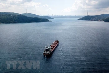 Tàu chở ngũ cốc của Ukraine di chuyển tại Eo biển Bosphorus ở Istanbul, Thổ Nhĩ Kỳ, ngày 7/8/2022. (Ảnh: AFP/TTXVN)