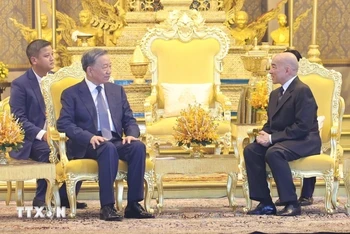 Chủ tịch nước Tô Lâm hội kiến Quốc vương Norodom Sihamoni tại Cung điện Hoàng gia Campuchia. Ảnh: TTXVN