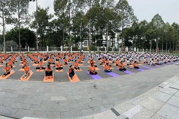 Ngày Quốc tế Yoga thu hút sự tham gia đồng diễn của khoảng 500 người.