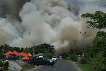Khói lửa mịt mù trong vụ cháy tại Khu A1, Vườn quốc gia Tràm Chim.