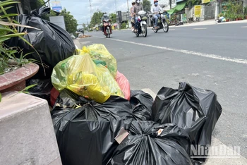 Nhiều túi rác chậm thu gom tại ấp Tân Trong, xã Tân Mỹ.