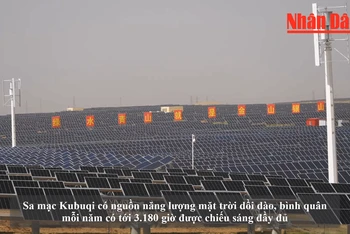 [Video] Ấn tượng những cánh đồng năng lượng mặt trời ở Trung Quốc