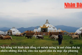 [Video] Trải nghiệm thú vị trên thảo nguyên Nội Mông, Trung Quốc 