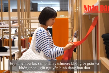 [Video] Vải cashmere xa xỉ được tạo ra như thế nào tại Trung Quốc?