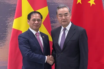 Bộ trưởng Ngoại giao Bùi Thanh Sơn và Bộ trưởng Ngoại giao Trung Quốc Vương Nghị.
