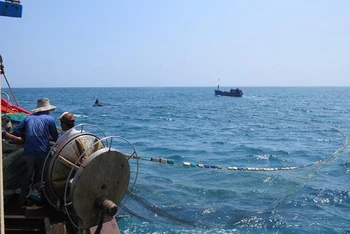 Quảng Ngãi khuyến khích ngư dân vươn khơi khai thác vụ cá nam năm 2022.
