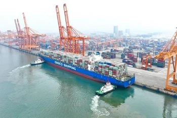 Cảng container Khâm Châu ở tỉnh Quảng Tây (Trung Quốc), ngày 2/3/2022. (Ảnh: THX/TTXVN)