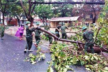 Cán bộ, chiến sĩ Bộ Chỉ huy quân sự thành phố Đà Nẵng dọn cây xanh ngã đổ trên các tuyến đường.