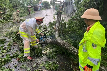 Lực lượng công an tỉnh Quảng Ngãi thu dọn cây xanh ngã đổ trên tuyến quốc lộ 24B.