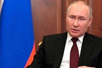 Tổng thống Nga Vladimir Putin. (Ảnh: aif.ru)