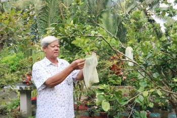Ông Kim Ruône chăm sóc vườn cây của gia đình.