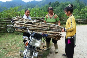Theo hương ước của thôn Dền Thàng 2, người dân chỉ vào rừng lấy củi trong ngày mở cửa rừng.